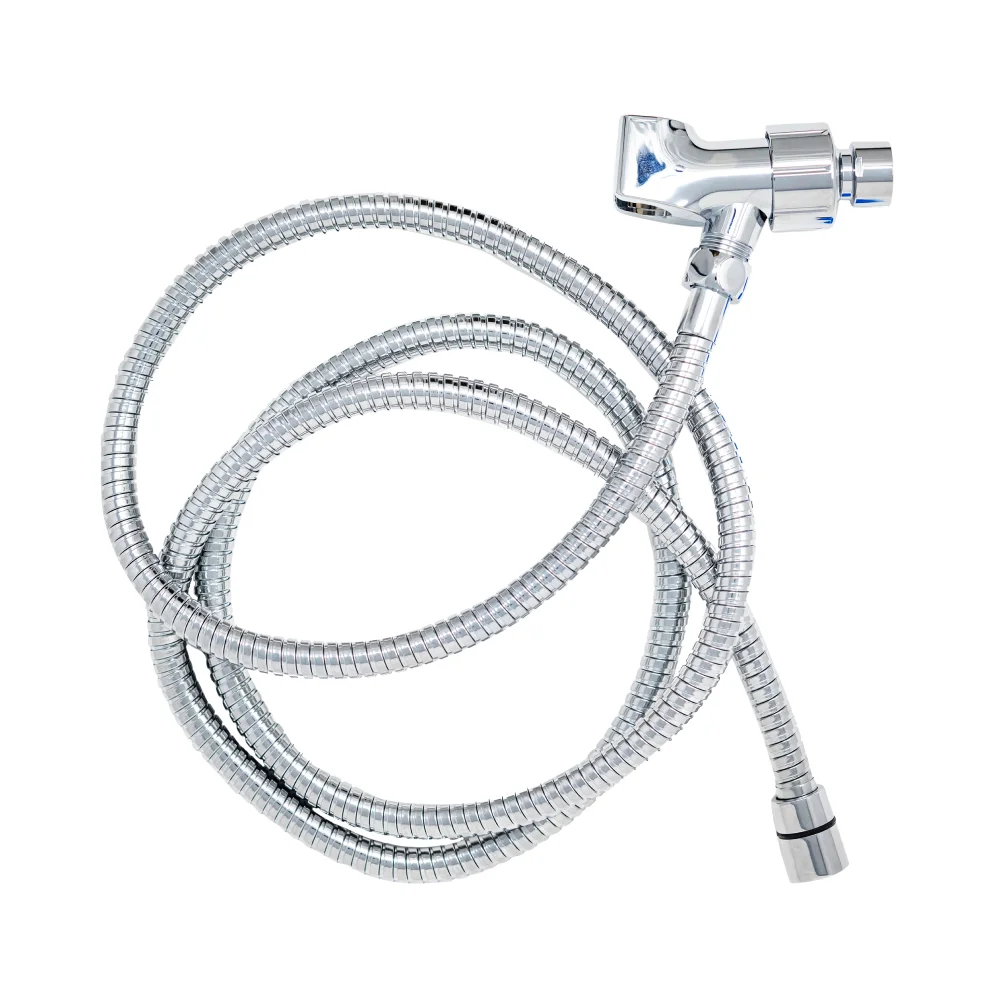 Wave Shower Hose & Shower Arm Mount Set